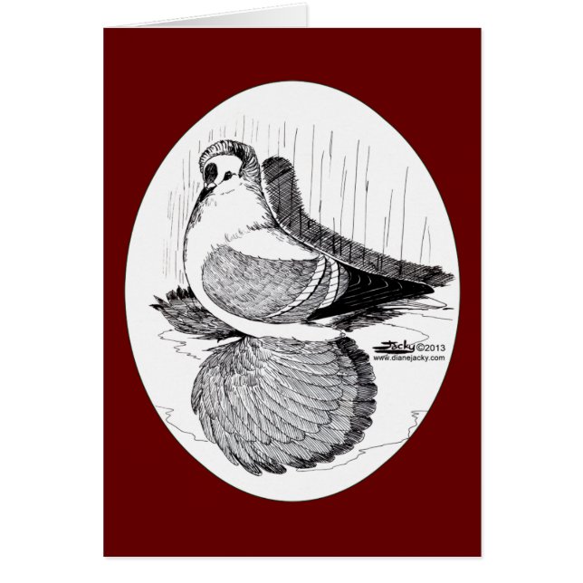 Fairy Swallow Pigeon 1978 (Front)