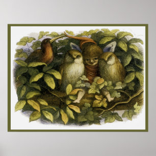 "Fairy with Owls" by Doyle - Print