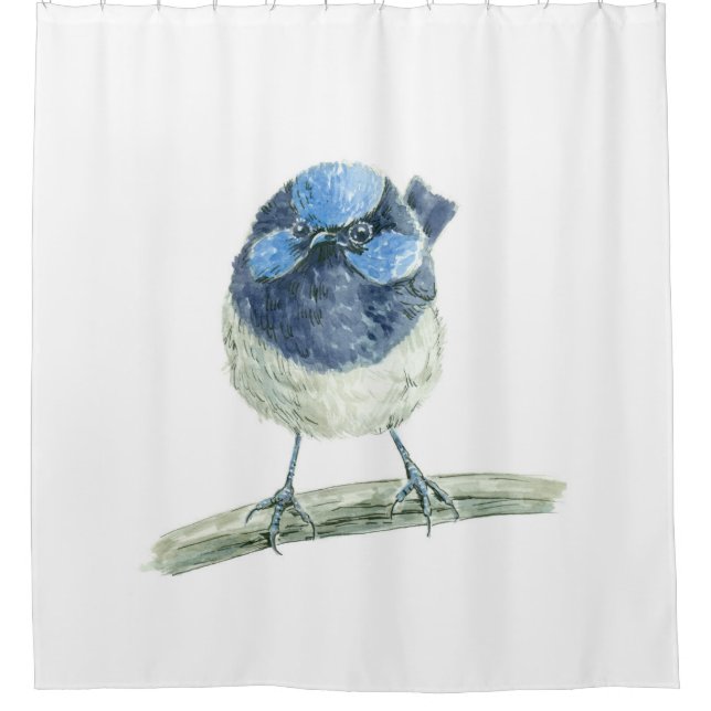 Fairy wren (Front)