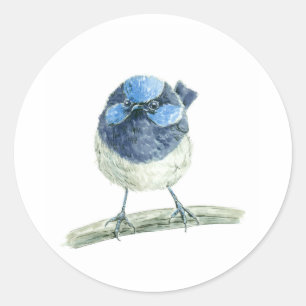 Fairy wren classic round sticker