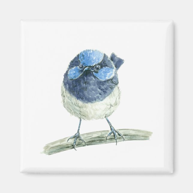 Fairy wren magnet (Front)
