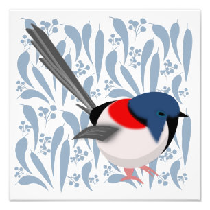 Fairy Wren Photo Print