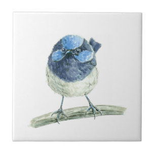 Fairy wren tile