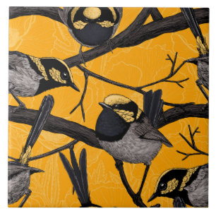 Fairy wrens in yellow tile
