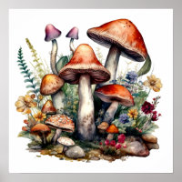 Fairycore Fairytale Mushrooms Funghi