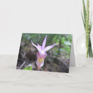 Fairyslipper Orchid Flower Card