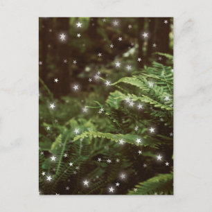 Fairytale ferns in the forest stars cottagecore postcard