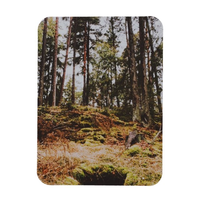 Fairytale forest in the swedish archipelago magnet (Vertical)