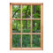 Fairytale Garden View from a Window (Premium)