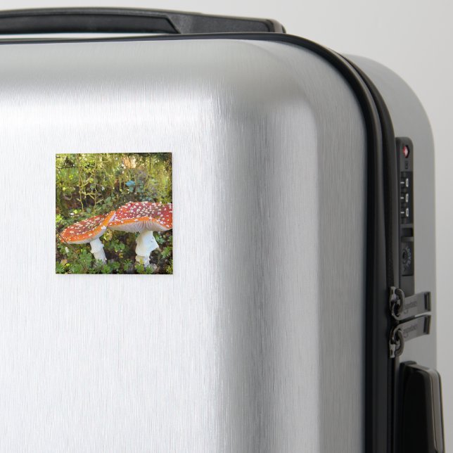 Fairytale Mushrooms Magnet (In Situ (Luggage))