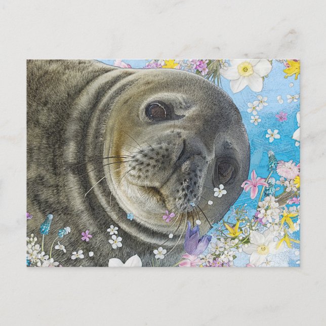 Fairytale Sealion in Ocean of Flowers Postcard (Front)