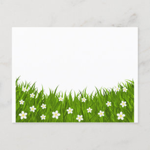 Faisée et herbe de carte postale