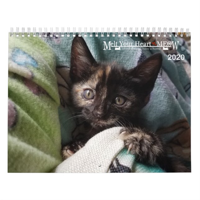 Faites fondre votre coeur - Calendrier MEOW 2020 K (Protection)