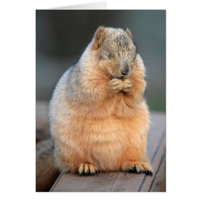 Faites un souhait (Devant)