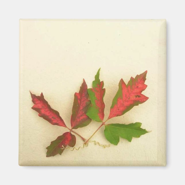 Faites votre propre aimant - Feuilles de chêne à l (Devant)