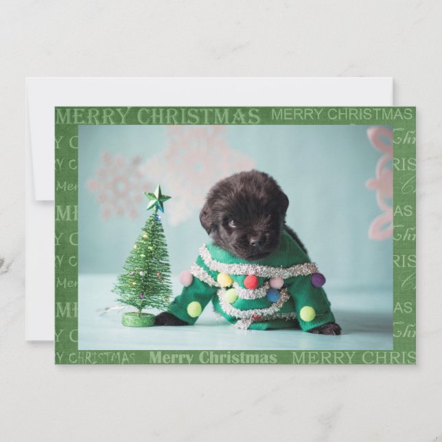 Faites votre propre carte de Noël (Devant)