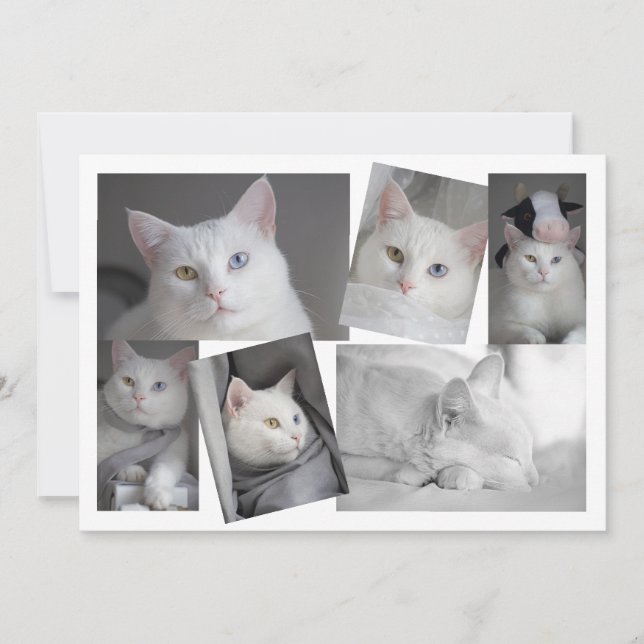 Faites votre propre collection de photos carte per (Devant)