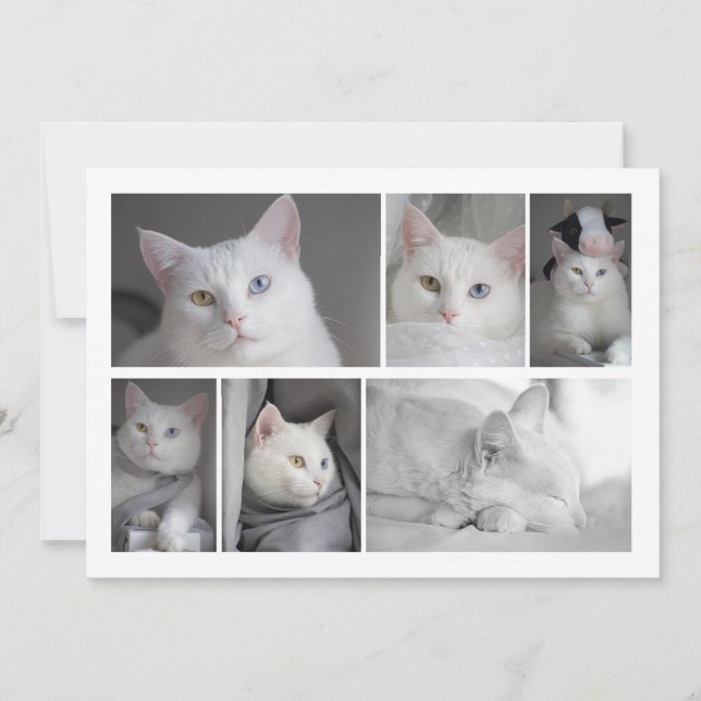 Faites votre propre collection de photos carte per (Devant)