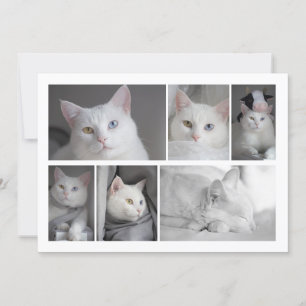 Faites votre propre collection de photos carte per