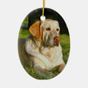 Faites votre propre ornement de Noël d'animal