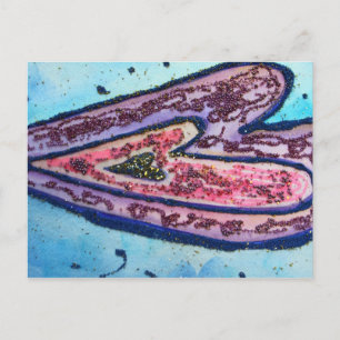 Faith Heart Postcard