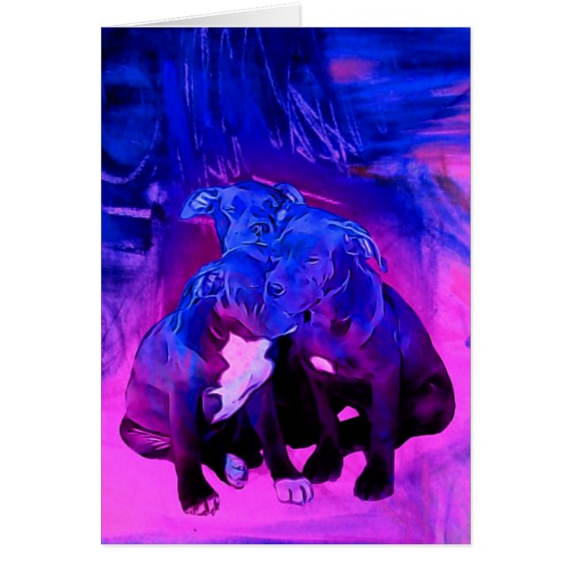 Faith Hope & Charity, Abused Pit Bull Dogs (Front)