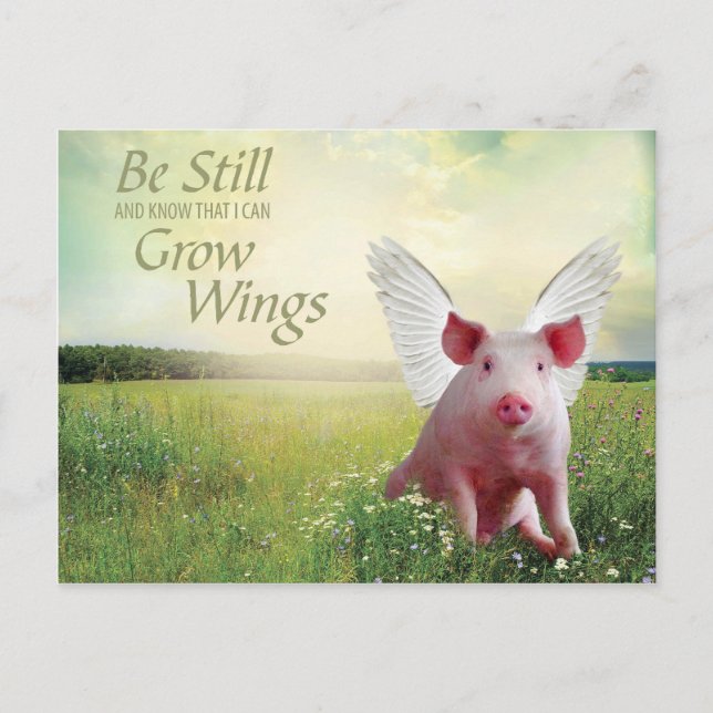 Faith In Pigs Postcard (Front)