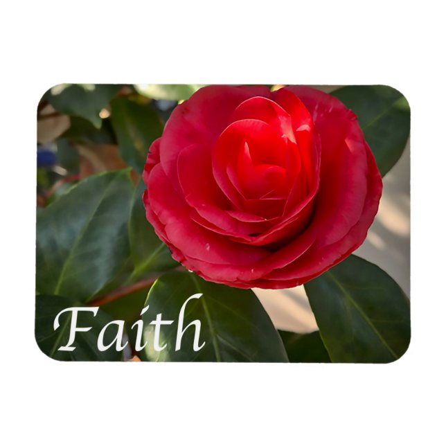 Faith - Red Camellia Bloom Magnet (Horizontal)