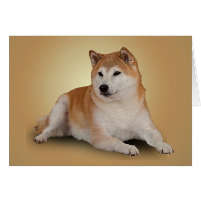 FAITHFUL (Front Horizontal)