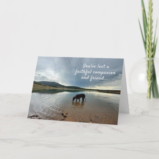 Faithful Companion Loss of Dog Sympathy Card (Front)