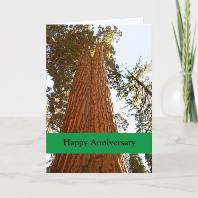 Faithful Couple Sequoia Trees, Happy Anniversary Card (Front)