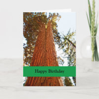 Faithful Couple Sequoia Trees, Happy Birthday