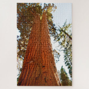 Faithful Couple Sequoia Trees, Yosemite Jigsaw Puzzle