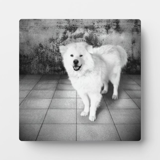 Faithful Love Plaque (Front)