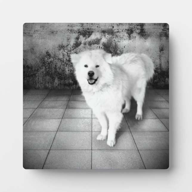 Faithful Love Plaque (Devant)