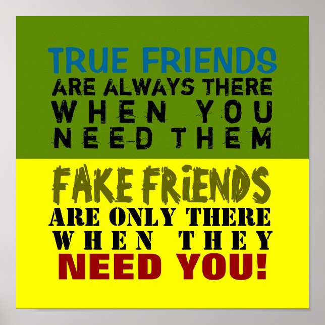 FAKE vs TRUE ~ 12X12 Poster (Devant)