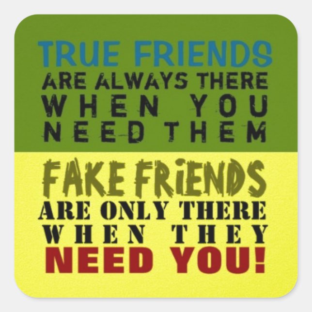 FAKE vs VUE ~ Stickers (Devant)