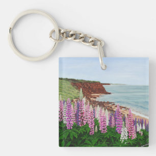 Falaises de Cavendish et lupins de ressort, PEI