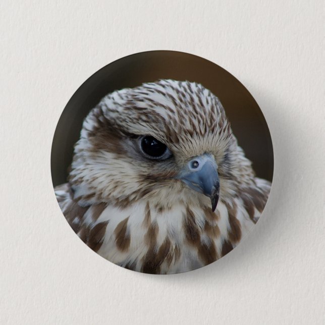 Falco cherrug Portrait 2 Inch Round Button (Front)