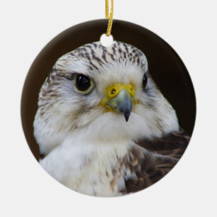 Falco cherrug Portrait Ceramic Ornament