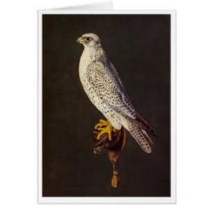 Falcon 16th Century
