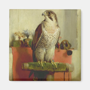 Falcon, 1837 magnet