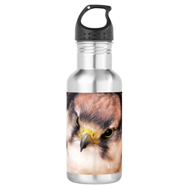 FALCON 532 ML WATER BOTTLE (Front)
