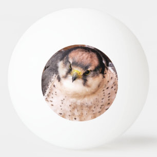 FALCON BIRD OF PREY PING PONG BALL