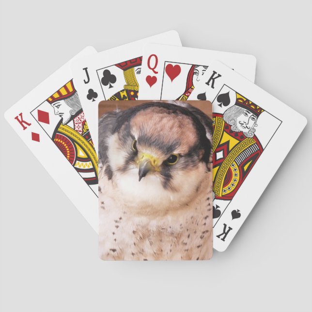 FALCON BIRD OF PREY PLAYING CARDS (Back)