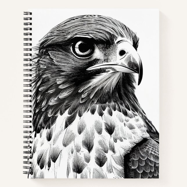 Falcon Bird Wild Nature Animal Illustration Art  Notebook (Front)