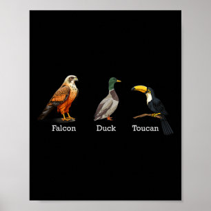 Falcon Duck Toucan Birds Subtle Anti Trump _1  Poster