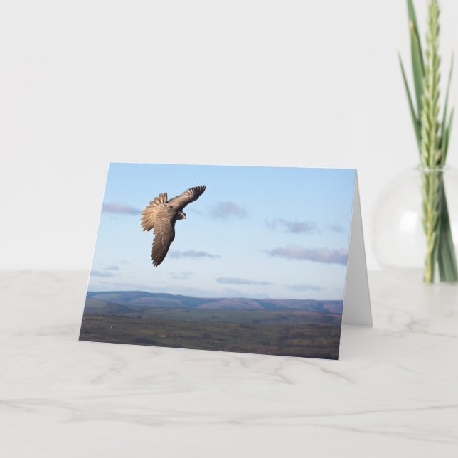 Falcon Flight Card (Front)