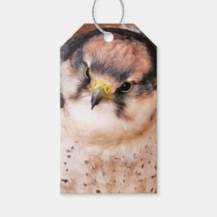 FALCON GIFT TAGS