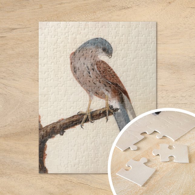 Falcon Hen Kestrel | William Lewin Jigsaw Puzzle (Creator Uploaded)